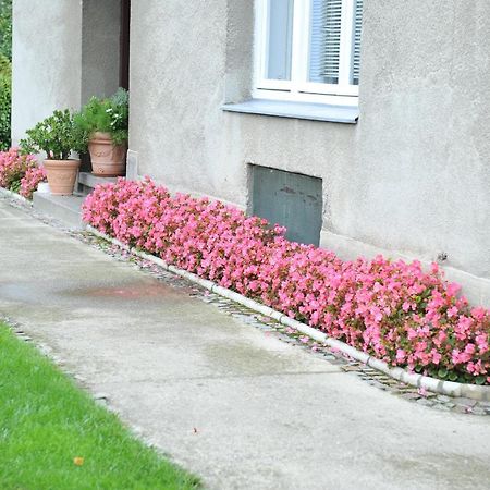 Studio Apartman D&D Varaždin Exteriér fotografie