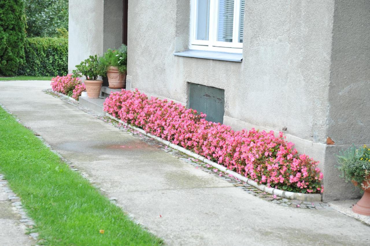 Studio Apartman D&D Varaždin Exteriér fotografie